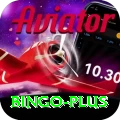 bingo APK King v5.6.9