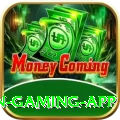 Fortune Mint Game Champion Gaming App