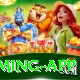 Timi Slots Legend Gaming App