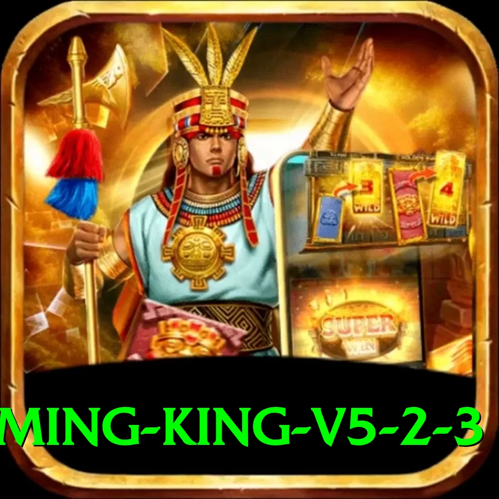 W9Bet Gaming King v5.2.3 - 2